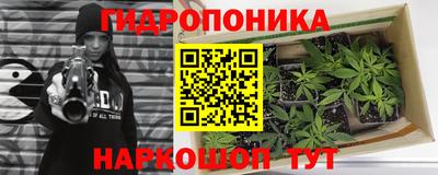 герыч Лесосибирск