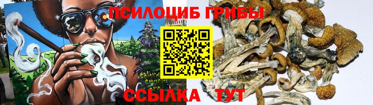 Псилоцибиновые грибы MAGIC MUSHROOMS  Вход с VPN  Северск 